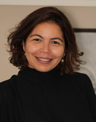 conselho<br> curador