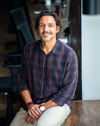 conselho<br> curador